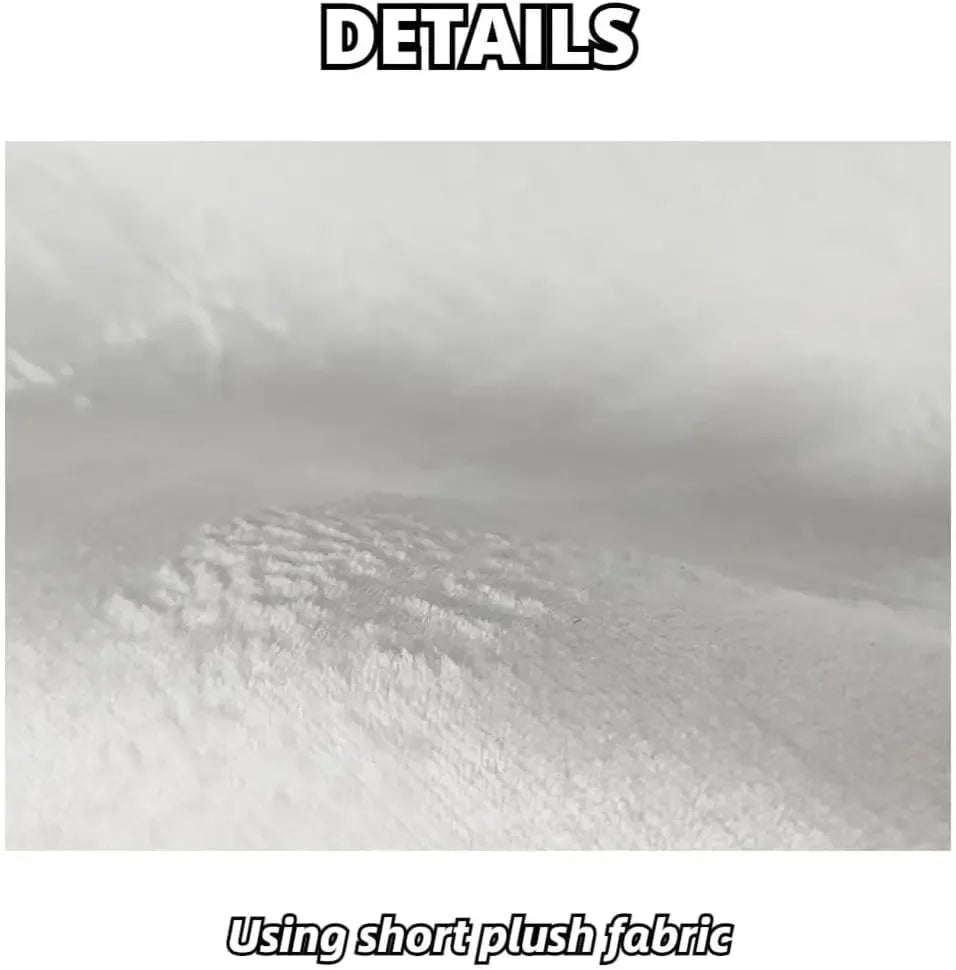 Dollar Rug