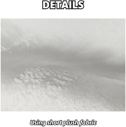 Dollar Rug