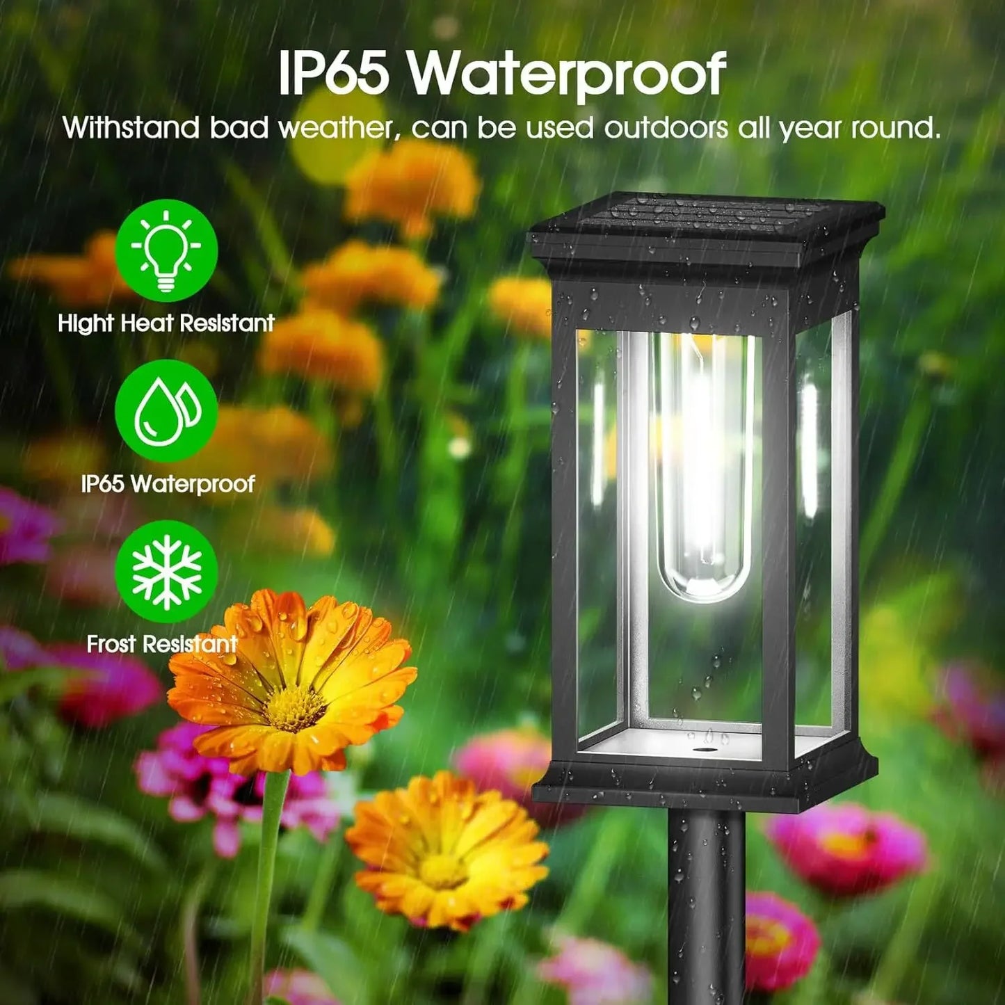 Bright Solar Pathway Lights Energy Efficient