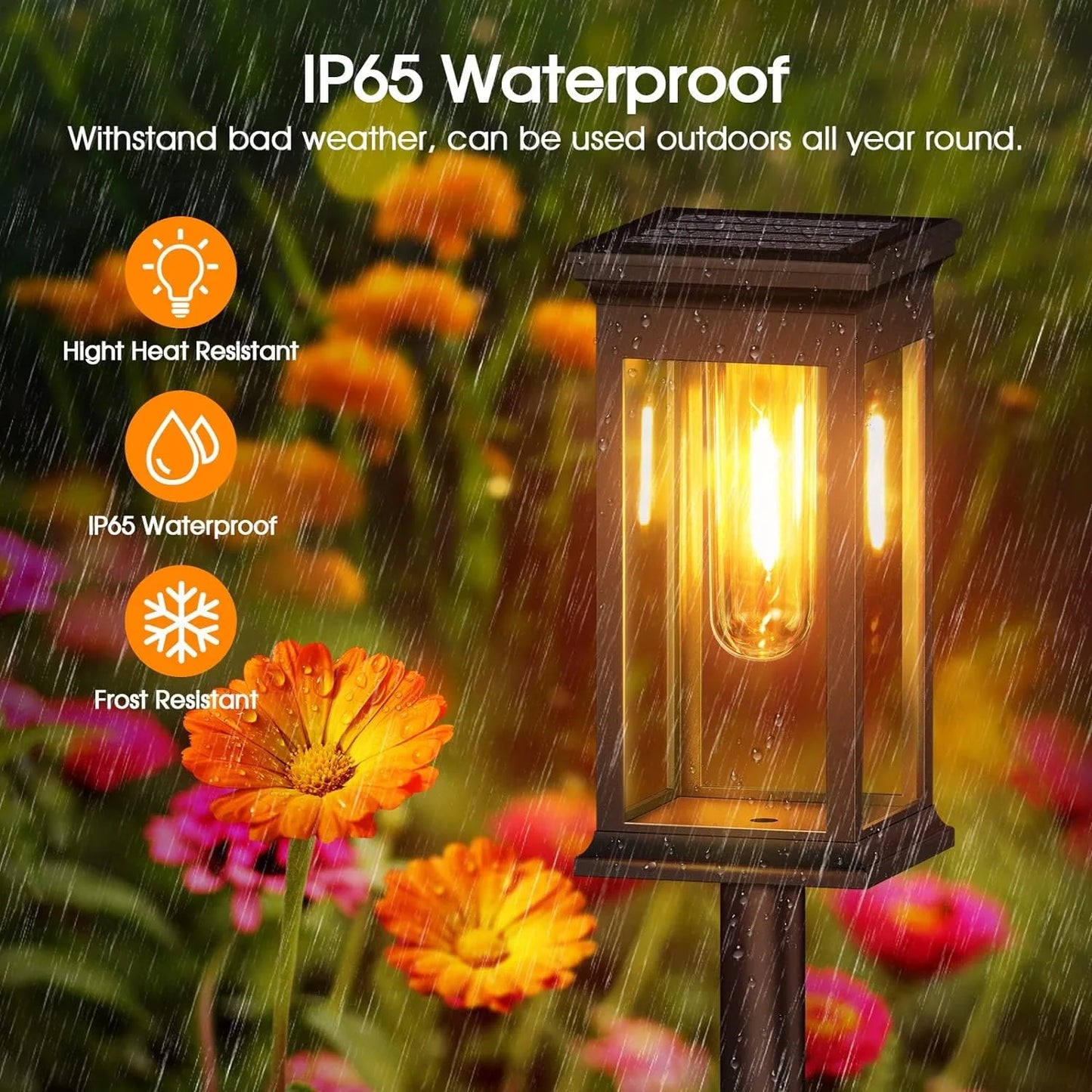 Bright Solar Pathway Lights Energy Efficient