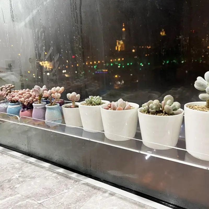 Acrylic Wall Shelf